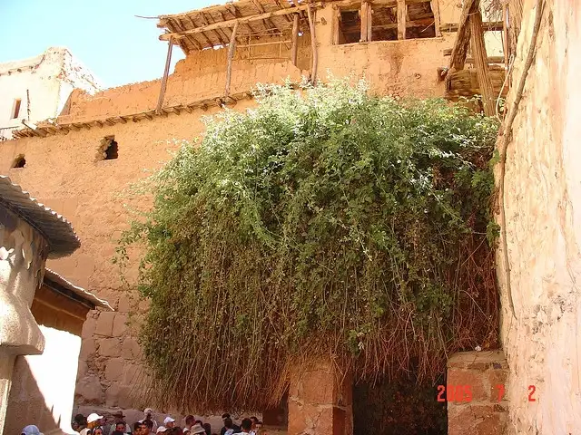 St. Catherine Day Trip from Sharm Marina - Private Tour in Egypt